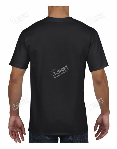 Мужская футболка Gildan Premium Cotton tsp-4100/426C фото