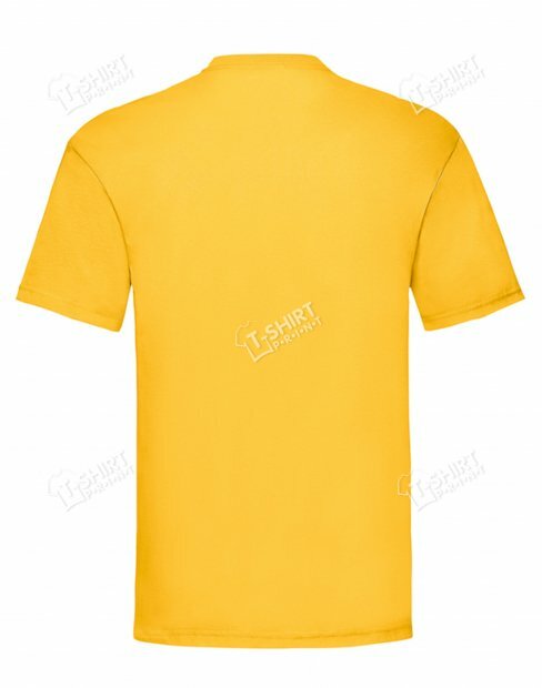 Мужская футболка Valueweight tsp-61-036-0/34 фото