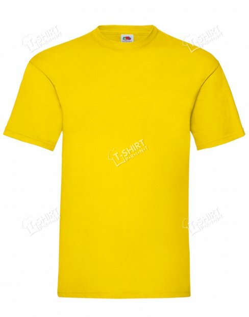 Мужская футболка Valueweight tsp-61-036-0/K2 фото