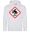 Men`s hoodie WATCH OUT FOR THE SKATEBOARDER sport-grey фото