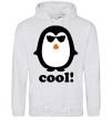 Мужская толстовка (худи) COOL PENGUIN Серый меланж фото