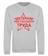 Sweatshirt MENTAL VETERAN sport-grey фото