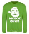 Sweatshirt МОРОZ 2020 orchid-green фото