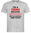 Men's T-Shirt Teacher super hero grey фото