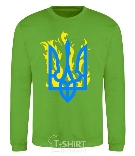 Sweatshirt A coat of arms with fire orchid-green фото