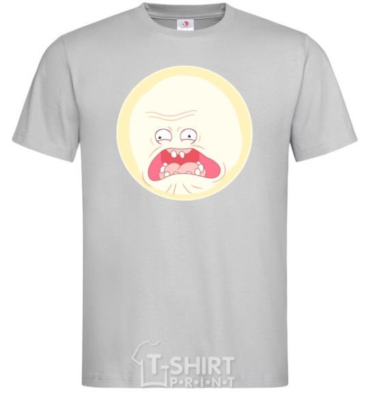 Men's T-Shirt Rick and Morty sunshine scream tsui grey фото