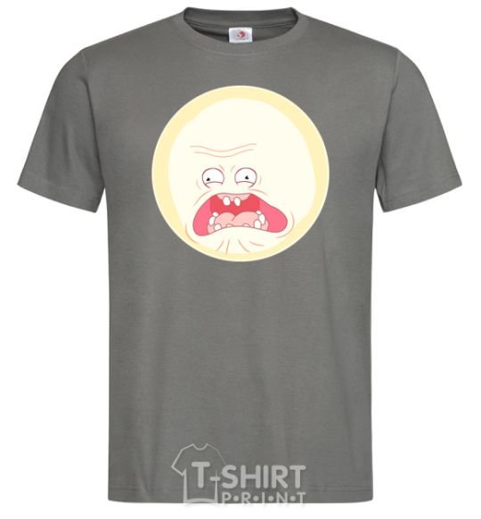 Men's T-Shirt Rick and Morty sunshine scream tsui dark-grey фото