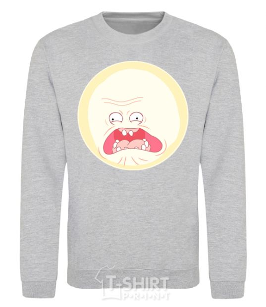 Sweatshirt Rick and Morty sunshine scream tsui sport-grey фото