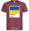 Мужская футболка Pantone Український прапор Бордовый фото