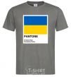 Мужская футболка Pantone Український прапор Графит фото