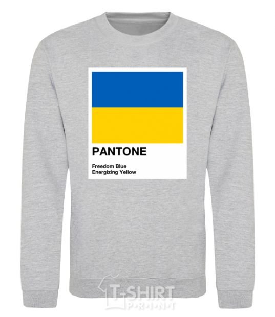 Sweatshirt Pantone Ukrainian flag sport-grey фото