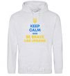 Men`s hoodie Be brave like Ukraine sport-grey фото