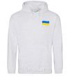 Men`s hoodie Flag Embroidery sport-grey фото