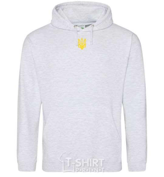 Men`s hoodie Small coat of arms Embroidery sport-grey фото