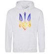 Men`s hoodie The coat of arms is on fire sport-grey фото