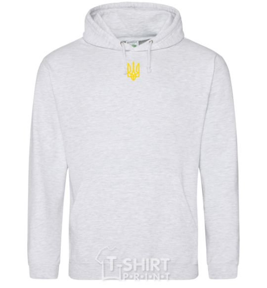 Men`s hoodie Coat of arms small print sport-grey фото