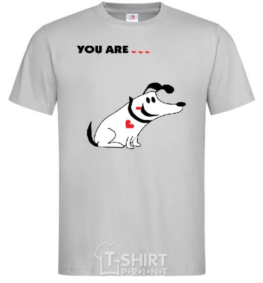 Men's T-Shirt YOU ARE.... grey фото