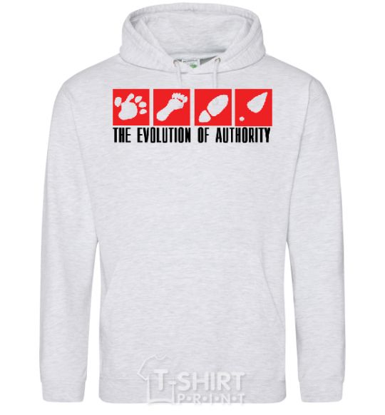 Men`s hoodie The evolution of authority sport-grey фото