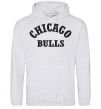 Men`s hoodie CHICAGO BULLS sport-grey фото
