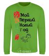 Sweatshirt NEW YEAR'S EVE BY DAD orchid-green фото