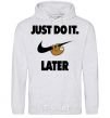 Men`s hoodie just do it later sport-grey фото