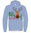 Men`s hoodie Big brother Alex sky-blue фото