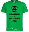 Мужская футболка Big brother is watching you (глаз) Зеленый фото