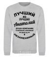 Sweatshirt The best of the best Anatoly sport-grey фото