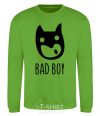 Sweatshirt the Bad boy picture orchid-green фото