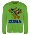 Sweatshirt Zuma orchid-green фото