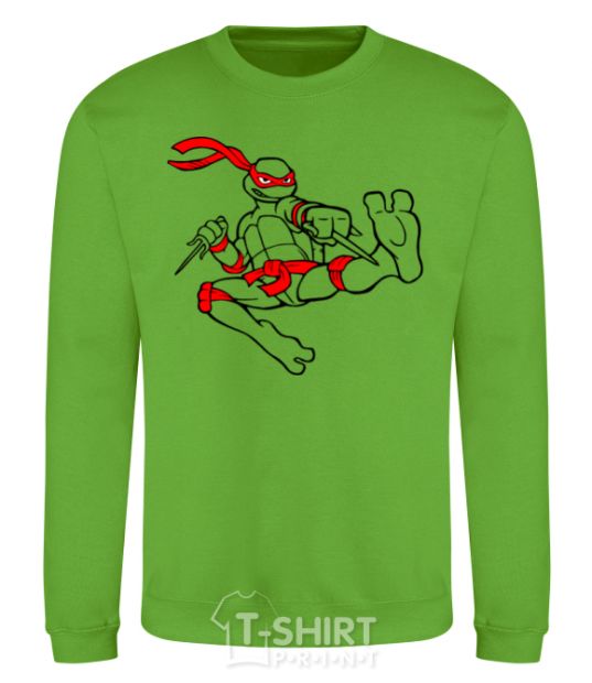 Sweatshirt Raphael orchid-green фото