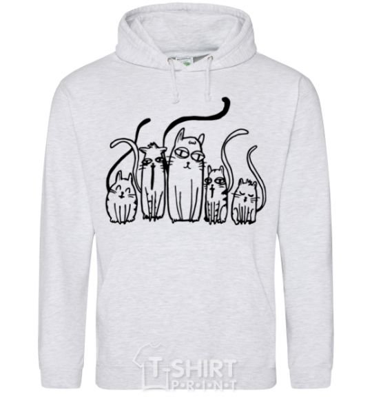 Men`s hoodie Cats B/W sport-grey фото