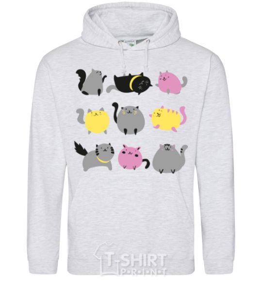 Men`s hoodie Kitties sport-grey фото