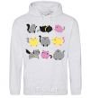 Men`s hoodie Kitties sport-grey фото