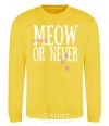 Sweatshirt Meow or never yellow фото