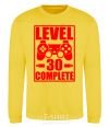 Sweatshirt Level 30 complete с джойстиком yellow фото