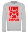 Свитшот Level 30 complete с джойстиком Серый меланж фото