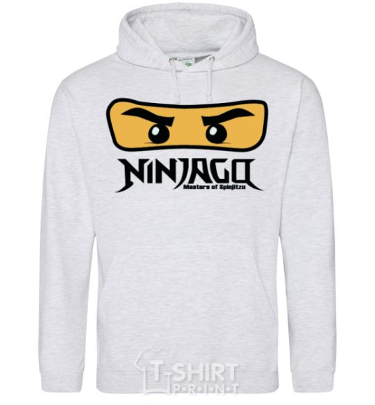 Men`s hoodie Ninjago Masters of Spinjitzu sport-grey фото