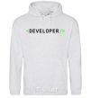 Men`s hoodie Developer sport-grey фото