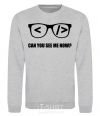 Sweatshirt Can you see me now sport-grey фото