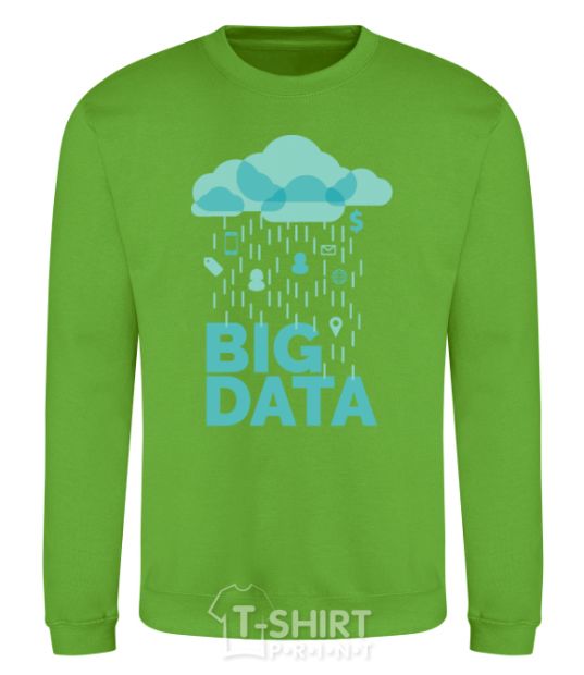 Sweatshirt Big data rain orchid-green фото