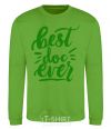 Sweatshirt Best Doc ever orchid-green фото