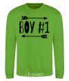 Sweatshirt Boy 1 orchid-green фото