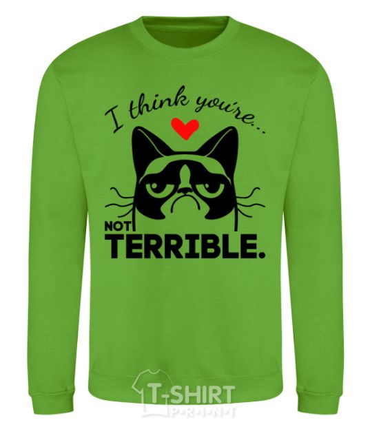 Sweatshirt I think you're not terrible orchid-green фото