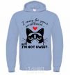 Men`s hoodie I may be your sweetheart sky-blue фото