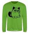 Sweatshirt Grupy cat boy orchid-green фото