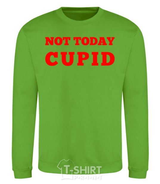 Sweatshirt Not today cupid orchid-green фото