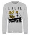 Sweatshirt Level 30 complete sport-grey фото