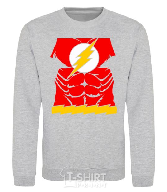 Sweatshirt Flash costume V.1 sport-grey фото