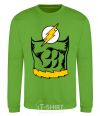 Sweatshirt Flash costume orchid-green фото